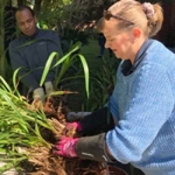 Not quite &#039;Gardening Australia&#039;